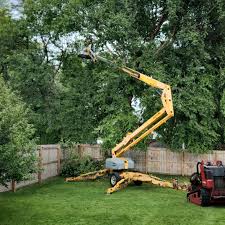  Coachella, CA Tree Removal and Landscaping Services Pros